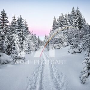 Harz und Berge_10